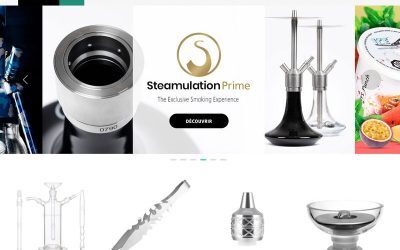 Refonte Multiboutique Prestashop 1.7 Darnashop